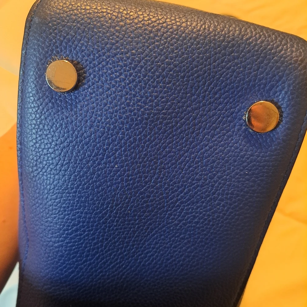 Michael Kors Blue Bag